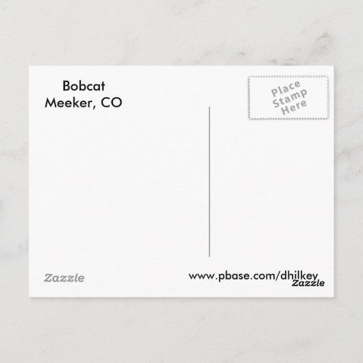 Carte Postale Visage de chat sauvage (Dos)