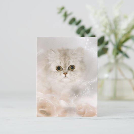 Carte Postale visage de chaton persan (Debout devant)