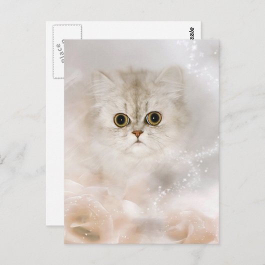 Carte Postale visage de chaton persan (Devant / Derrière)