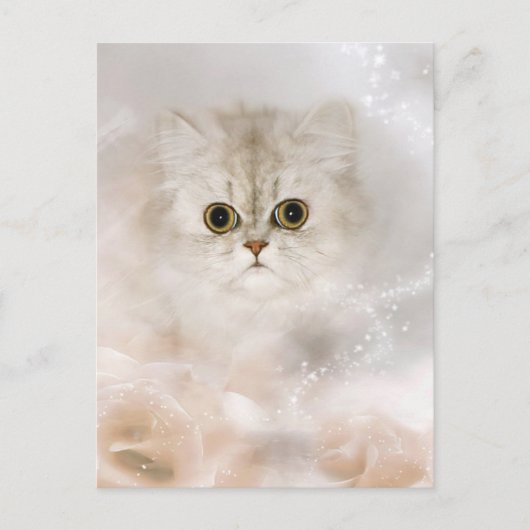Carte Postale visage de chaton persan (Devant)