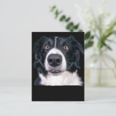 Carte Postale Visage de chien noir et blanc (Debout devant)