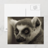 Carte Postale visage de citron (Devant / Derrière)