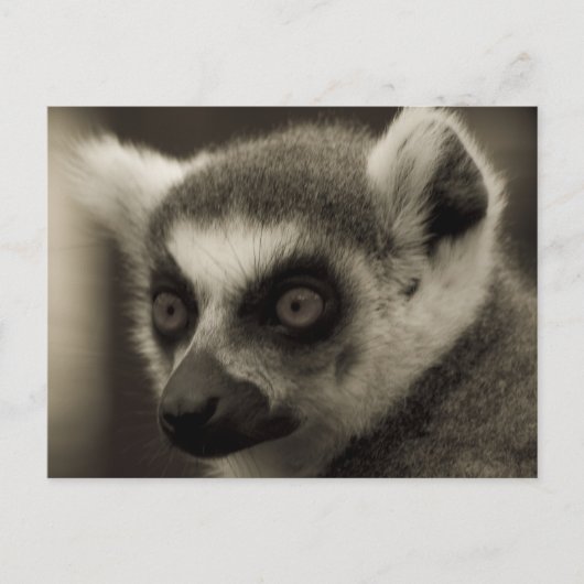 Carte Postale visage de citron (Devant)