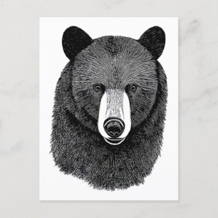Carte Postale Visage de l'ours noir dessin original de l'art ani