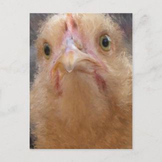 Carte Postale Visage de poulet