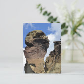 Carte Postale Visage de singe (Debout devant)