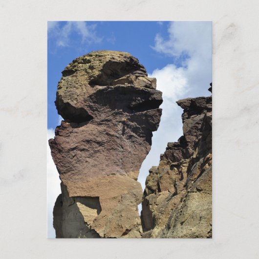 Carte Postale Visage de singe (Devant)