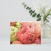 Carte Postale Visage de tomate (Debout devant)