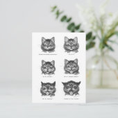 Carte Postale Visage drôle de chat, Louis Wain (Debout devant)