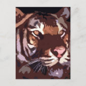 Carte Postale Visage du tigre (Devant)