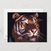 Carte Postale Visage du tigre (Devant / Derrière)