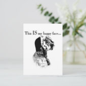 Carte Postale Visage heureux de Setter anglais (Debout devant)