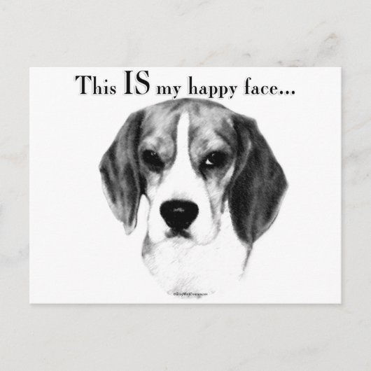 Carte Postale Visage heureux du beagle (Devant)
