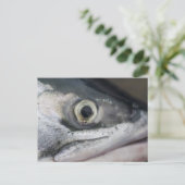 Carte Postale Visage Saumon argenté (Debout devant)