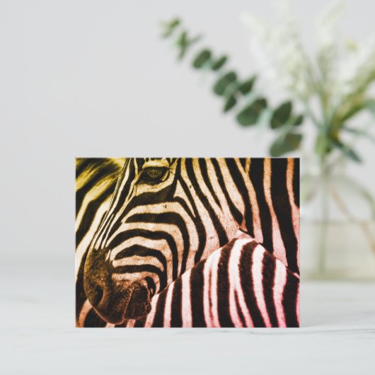 Carte Postale Visage Zebra (Debout devant)