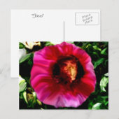 Carte Postale Visages (Devant / Derrière)