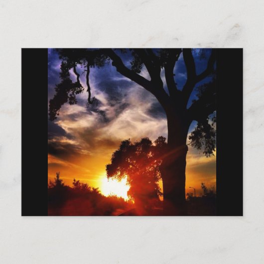 Carte postale Visalia Sunset (Devant)