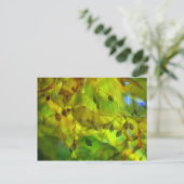 Carte Postale Vision Automne (Debout devant)