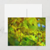 Carte Postale Vision Automne (Devant / Derrière)