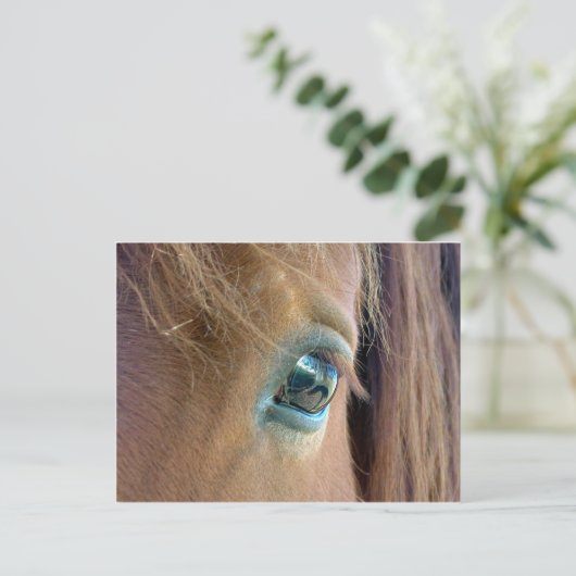 Carte Postale Vision du cheval (Debout devant)