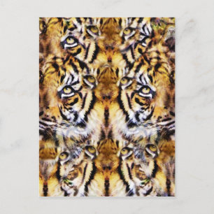 Carte Postale Visions_