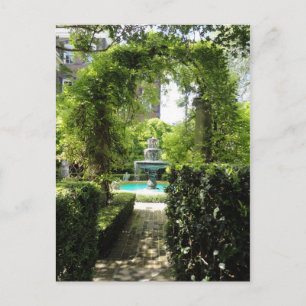 Carte postale Visions of Charleston Fountain