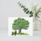 Carte Postale Visite Avec Le Père Oak (Debout devant)