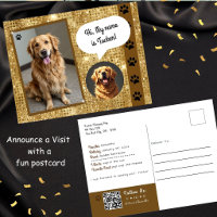 Visite de chien thérapeutique Gold Sparkle