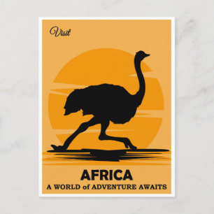 Carte Postale Visite vintage Afrique Voyage Ostrich Afrique