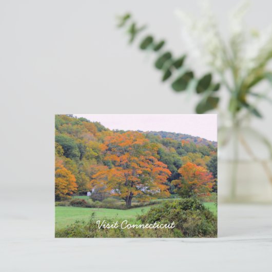 Carte Postale Visiter le CT (Debout devant)