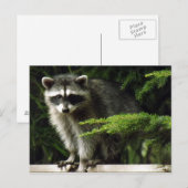 Carte Postale Visiteur inattendu, #3 (Devant / Derrière)