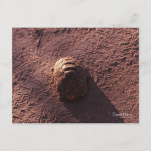 Carte Postale Vitesse