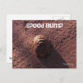 Carte Postale Vitesse (Devant / Derrière)