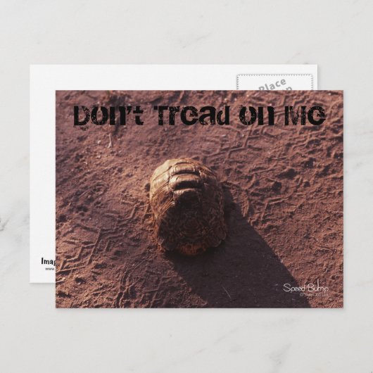 Carte Postale Vitesse (Devant / Derrière)