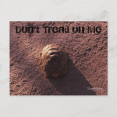 Carte Postale Vitesse (Devant)