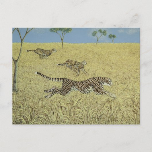 Carte Postale Vitesse simple (Devant)