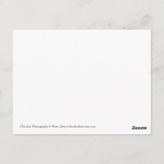 Carte Postale Vitraux (Dos)