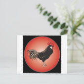 Carte Postale Vitrine du coq (Debout devant)