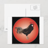 Carte Postale Vitrine du coq (Devant / Derrière)