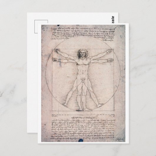Carte Postale Vitruvian Man Vitruvian Man, Leonardo da Vinci (Devant / Derrière)