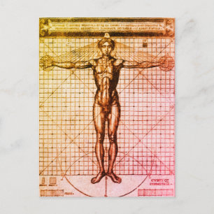 Carte Postale Vitruvian Man (Vitruvius : De architectura)