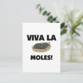 Carte Postale Viva La Moles (Debout devant)