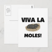 Carte Postale Viva La Moles (Devant / Derrière)
