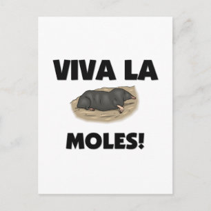 Carte Postale Viva La Moles