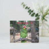 Carte Postale Viva Mexico (Debout devant)