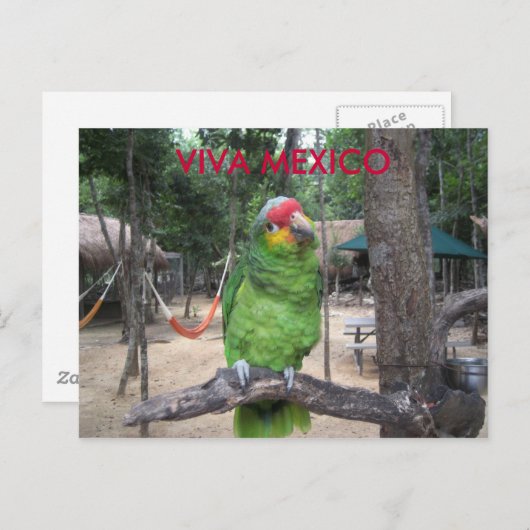 Carte Postale Viva Mexico (Devant / Derrière)