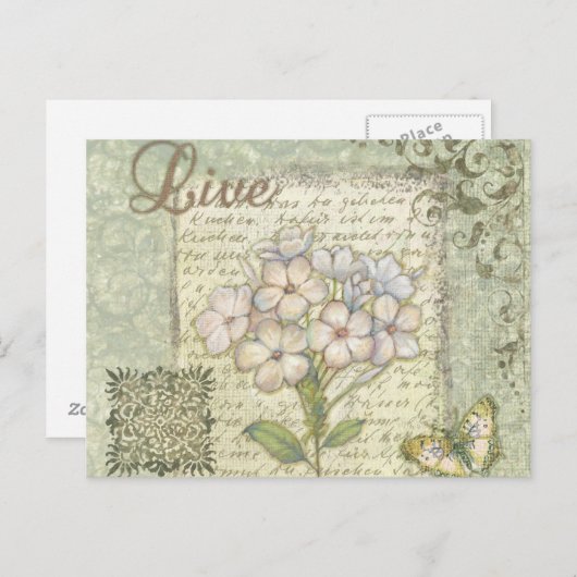 Carte Postale Vivant (Devant / Derrière)