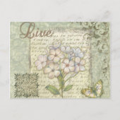 Carte Postale Vivant (Devant)