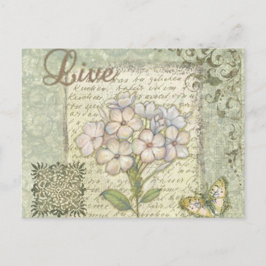 Carte Postale Vivant (Devant)