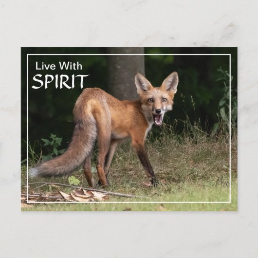 Carte Postale Vivre Avec Esprit (Devant)